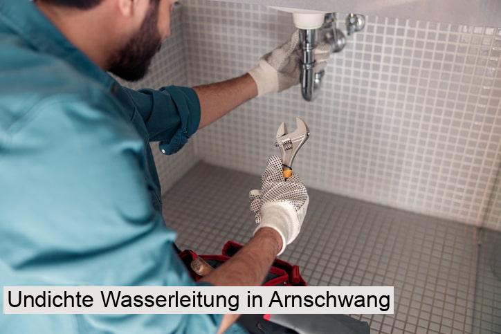 Undichte Wasserleitung in Arnschwang